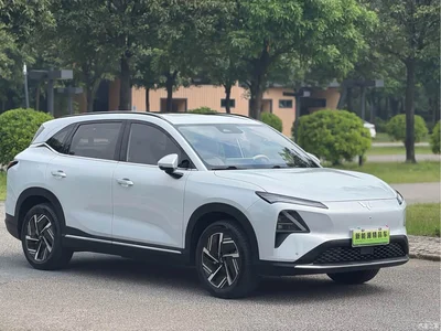 2024 Wuling Motors Wuling Xingguang S 510km Flagship Model, фото 2, лот 10836469