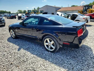 2009 FORD MUSTANG, фото 2, лот 10531324