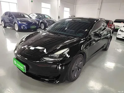 2021 Tesla Model 3 Standard Range Rear-Wheel Drive Upgrade 3D6, фото 2, лот 10370232