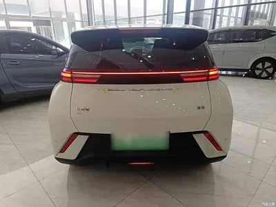 2024 BYD Seagull Glory Edition 405km Soaring Edition, фото 4, лот 10262930