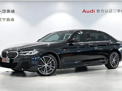 2023 BMW 5 Series 530Li xDrive M Sport Package, фото 1, лот 10480915