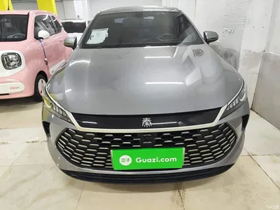 2025 BYD Qin PLUS DM-i Smart Drive 55KM Leader, фото 3, лот 10362731