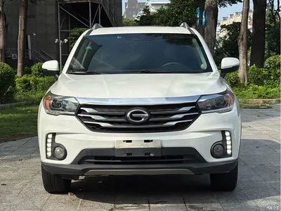2015 GAC Trumpchi Trumpchi GS4 200T G-DCT Luxury Edition, фото 2, лот 10391645
