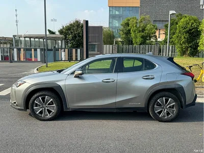 2020 Lexus UX Electric 300e Pure Yue Edition, фото 2, лот 10314149