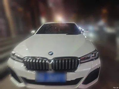 2022 BMW 5 Series Facelift 530Li Leading M Sport Package, фото 2, лот 11206527