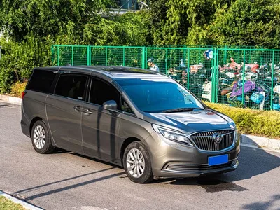 2017 Buick GL8, фото 3, лот 10245093