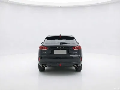 2017 WEY VV5 2.0T Super Luxury Model, фото 2, лот 10450816