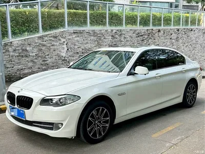 2012 BMW 5 Series 520Li Elegance, фото 1, лот 11197673