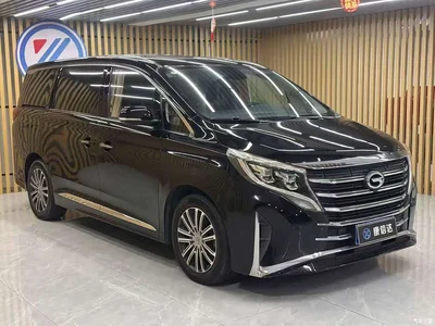 2021 GAC Trumpchi Trumpchi M8 Leading Show Series 390T Prestige Edition, фото 3, лот 11175102