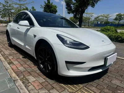 2019 Tesla Model 3 (Import) Standard Range RWD Upgraded Edition, фото 3, лот 11003167