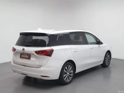 2019 Buick GL6, фото 2, лот 10242852