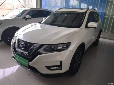 2020 Nissan X-Trail 2.5L XL CVT 4WD Smart Connect Leading Edition, фото 1, лот 10347876