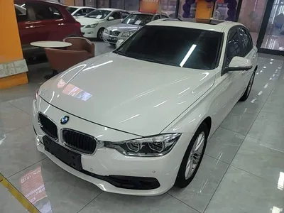 2017 BMW 3 Series 318i Fashion, фото 2, лот 10457605