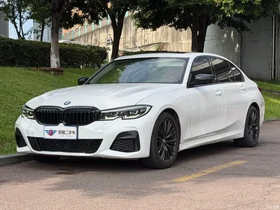 2020 BMW 3 Series 325Li M Sport Black Night Package, фото 1, лот 11002923