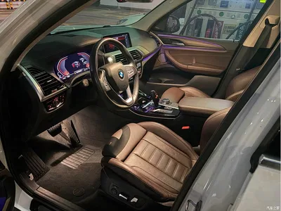 2020 BMW X3 xDrive28i Luxury Package, фото 4, лот 10842448