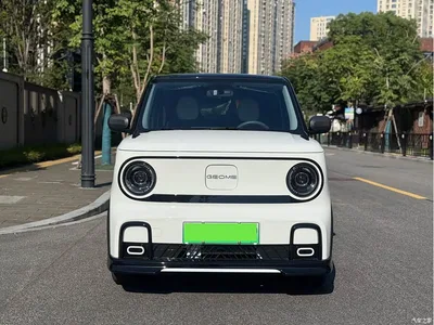 2025 Geely Galaxy Panda Model Year 210km Panda Kart, фото 2, лот 11569783