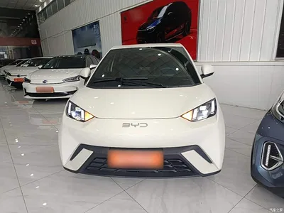 2024 BYD Seagull Glory Edition 405km Soaring Edition, фото 3, лот 10262930