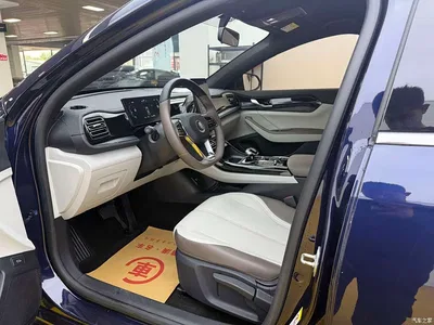2023 BYD Qin PLUS Champion Edition DM-i 55KM Leading, фото 4, лот 11058617