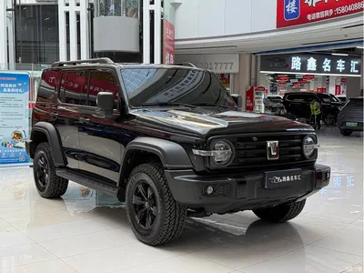 2023 Tank 300 Off-Road Edition 2.0T Challenger, фото 3, лот 10345106