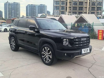 2022 Haval Big Dog 1.5T DCT FWD Border Collie Edition, фото 4, лот 10889189