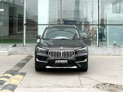 2020 BMW X1 xDrive25Li Premium Edition, фото 2, лот 10464976