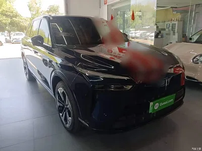 2023 WEY Lanshan AWD Ultra Long Range Edition, фото 4, лот 10478598