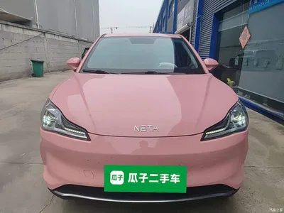 2022 Nezha Auto Nezha V Trend 400 Lite Pink Custom Edition, фото 3, лот 10823695