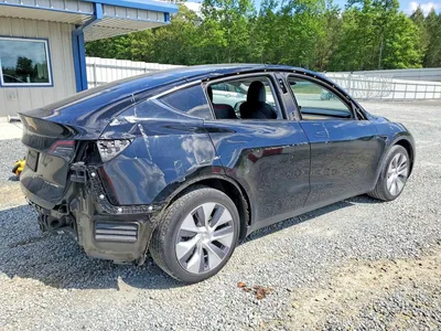 2023 TESLA Y, фото 3, лот 11150523