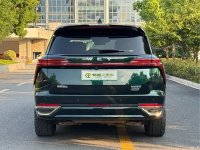 2023 WEY Lanshan AWD Ultra Long Range Edition, фото 4, лот 10452156
