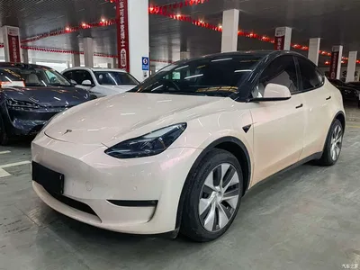 2022 Tesla Model Y Long Range AWD, фото 1, лот 11568998