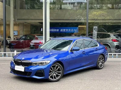 2020 BMW 3 Series 320Li M Sport Package, фото 1, лот 11133847