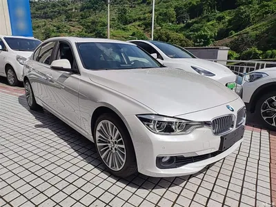 2018 BMW 3 Series 320Li Fashion Style, фото 4, лот 10458053