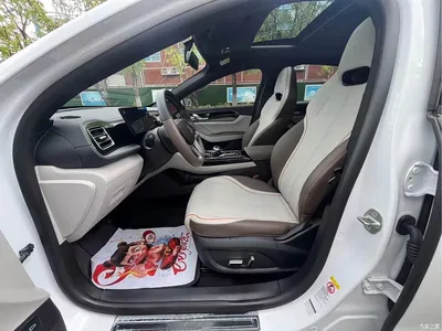 2023 BYD Qin PLUS Champion Edition EV 510KM Leading Type, фото 4, лот 10363154