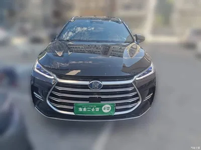 2021 BYD Tang New Energy DM-i 112KM Premium, фото 2, лот 10273563