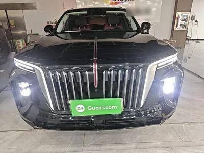 2022 Hongqi E-HS9 690km Qi Xiang Edition (6-seater), фото 3, лот 10415957