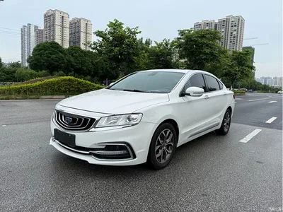 2017 Geely Borui 2.4L Premium, фото 1, лот 10359238