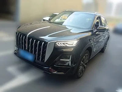 2025 Hongqi HS5 2.0T 4WD Qixiang Pro, фото 1, лот 10289565