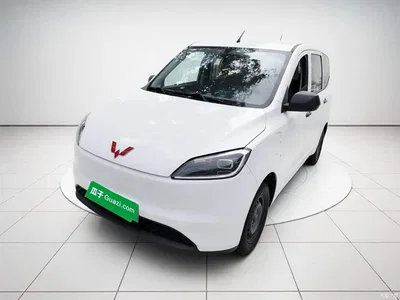2024 Wuling Motors Wuling Hongguang New Energy Model Pure Electric 300KM Utility Version, фото 1, лот 11149856