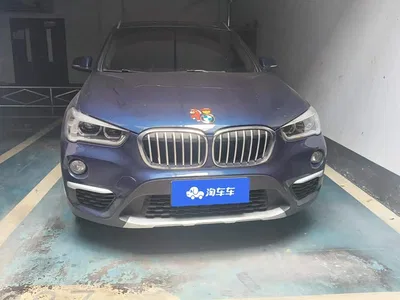 2019 BMW X1 xDrive20Li Premium Model, фото 2, лот 10401292
