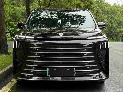 2026 Dongfeng Starlight V9 Beyond Joy Series 200km Luxury, фото 2, лот 11161072