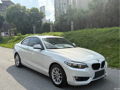 2015 BMW 2 Series (Import) 218i, фото 3, лот 10427172