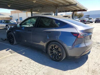 2023 TESLA MODEL Y, фото 2, лот 10855408