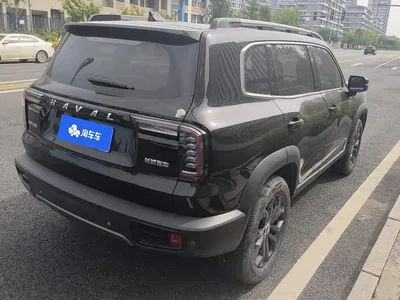 2021 Haval Big Dog 1.5T DCT 2WD Border Collie Edition, фото 3, лот 10416387