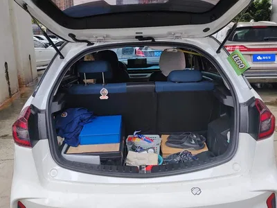 2021 Geely EX3 Kung Fu Bull Kung Fu Niu Niu, фото 4, лот 11155790
