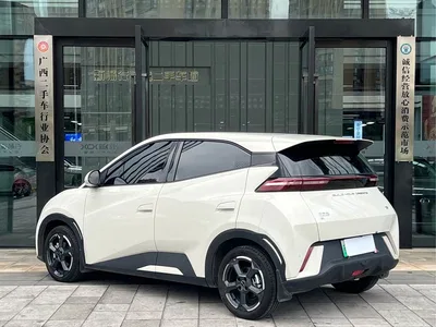 2023 BYD Seagull Freedom Edition, фото 4, лот 10247090