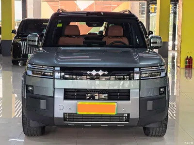 2025 Byd Titanium 7 AWD Base Model, фото 2, лот 10828769