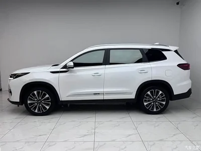 2024 Chery Tiggo 8 PRO Champion Edition 390T 2WD Peak Edition 5-Seater, фото 4, лот 10332707
