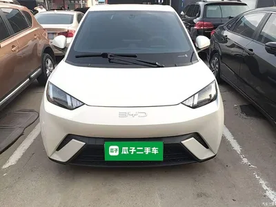 2024 BYD Seagull Glory Edition 305km Vitality Edition, фото 3, лот 10450721