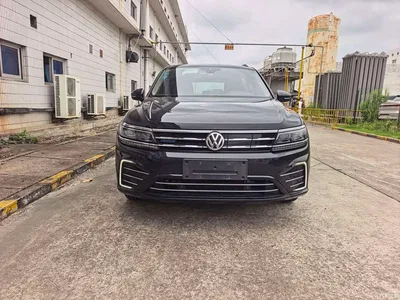 2019 Volkswagen Tiguan L PHEV 430PHEV Hybrid Luxury Edition, фото 1, лот 11140818