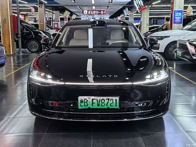 2025 Xiangjie Enjoy World S9 Extended Range Ultra, фото 2, лот 10831835